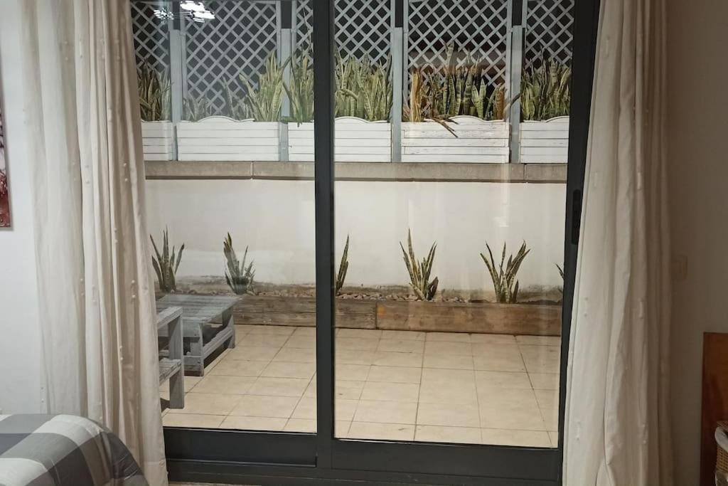 Atico En Paiporta Con 2 Grandes Terrazas Appartement Valencia Buitenkant foto